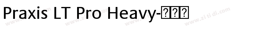 Praxis LT Pro Heavy字体转换